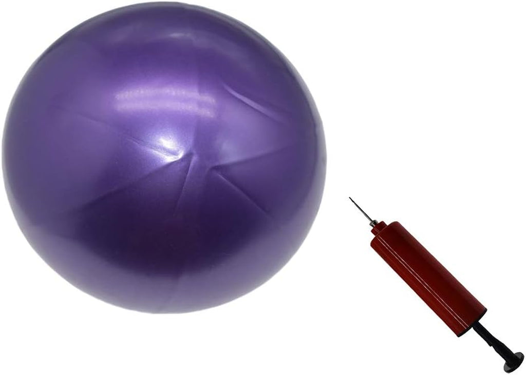 8 Inch Exercise Balls, Barre Ball, Small Workout Ball Mini, Exercise Ball for Pilates, Therapy Ball Yoga, 8" Ball Pump with Needles for Back Fitness