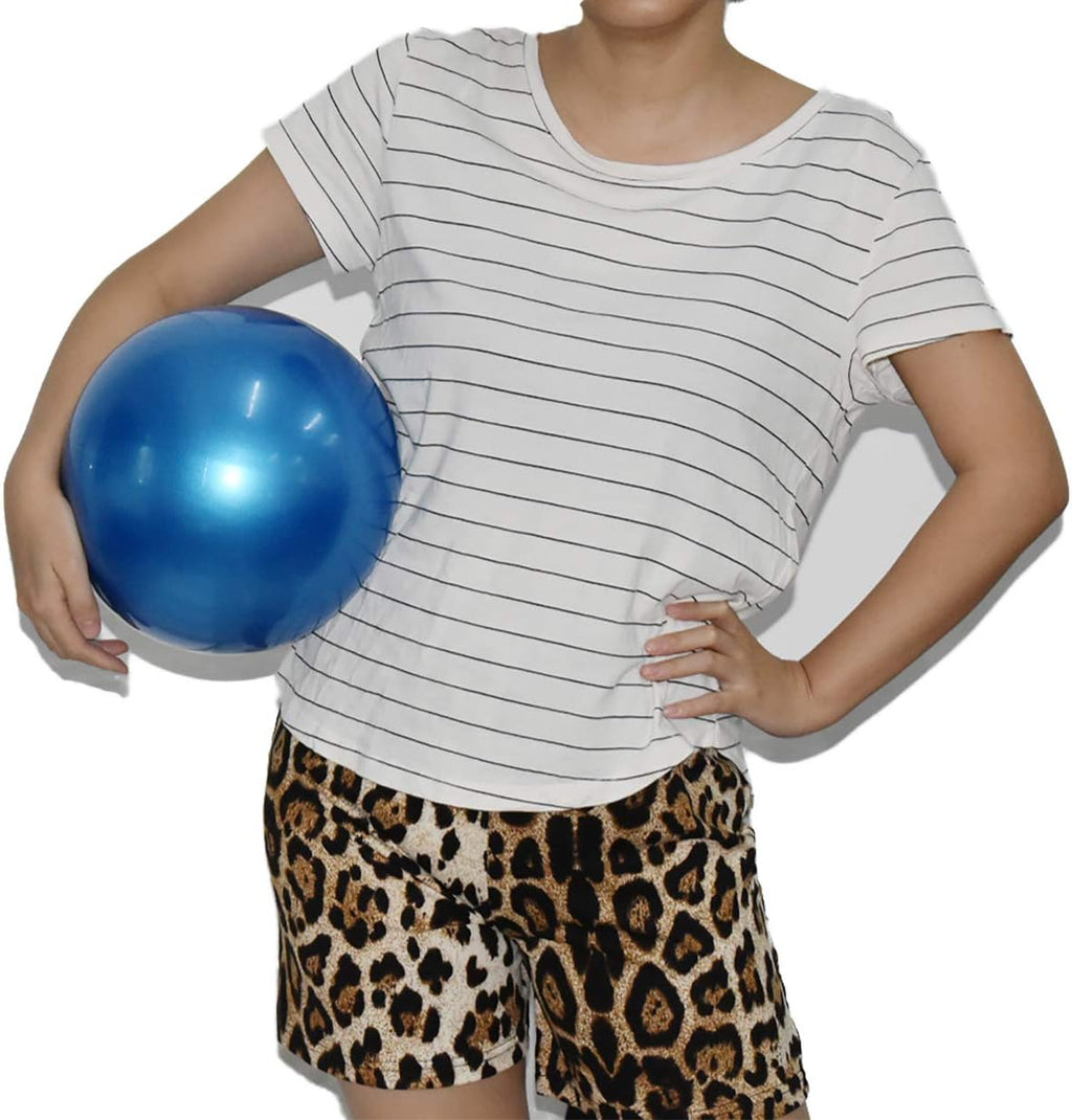 8 Inch Exercise Balls, Barre Ball, Small Workout Ball Mini, Exercise Ball for Pilates, Therapy Ball Yoga, 8" Ball Pump with Needles for Back Fitness