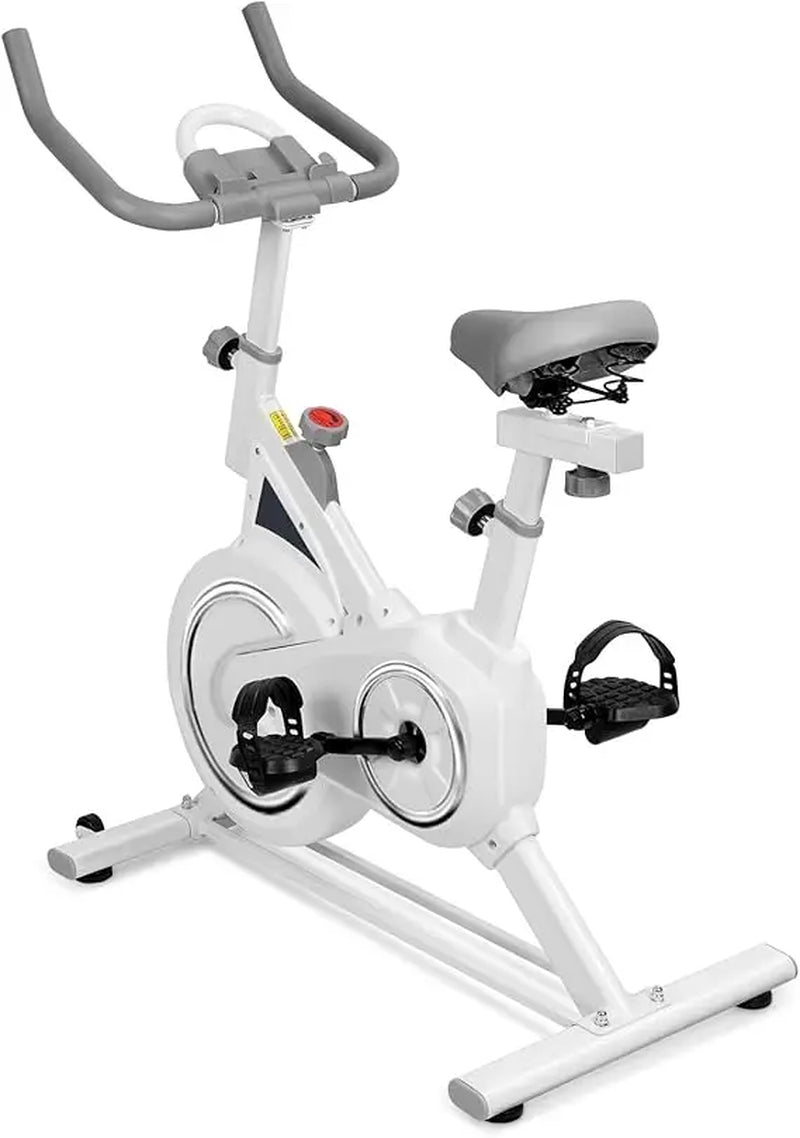 Exercise Bike, Stationary Exercise Bikes, Magnetic Resistance, Exercise Bike Indoor Cycling Bike, Upright Fitness Bike for Home